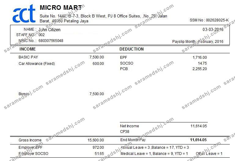 MALAYSIA MICRO MART payslip template in Word and PDF formats